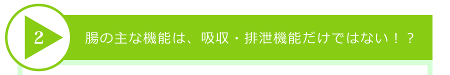 腸の主な機能は、吸収・排泄機能だけではない!?