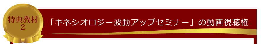 特典教材2:「キネシオロジー波動アップセミナー」の動画視聴権